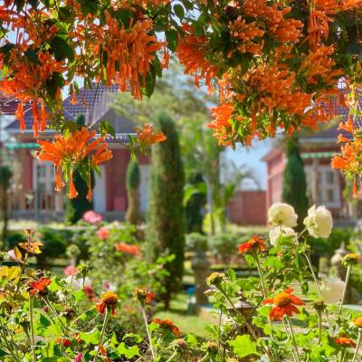 Flowers & Trees
